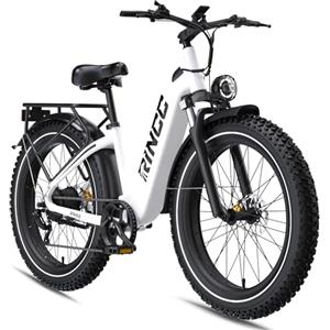 RINCC RN60 Bici Elettrica MTB,E-Bike Uomo, 960Wh 20Ah Batteria,Gamma PAS Autonomia di 100-120km,250 W,Pneumatici All Terrain Fat 26"*4,0",Freni Idraulici Anteriori e Posteriori,7 Velocità (Bianco)