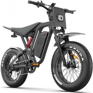 DEEPOWER Bicicletta Elettrica per Adulti Fat Tire 20"x4.0", Batteria Rimovibile 52V 25Ah, Ebike da Montagna con Sospensione Completa