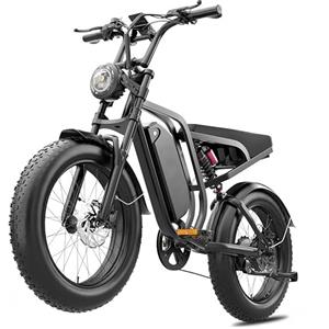 DEEPOWER Bicicletta Elettrica Per Adulti, 48V/52V 20Ah Batteria Rimovibile, Autonomia Lunga 60-110KM, Ebike Con Pneumatici Fat 20" Per Tutti I Terreni, 7 Marce, Sospensione Idraulica