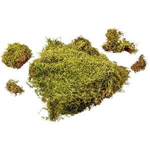 MaMeMi Sacchetto Muschio Naturale per Presepe - Muschio Secco Selezionato a Mano Made in Germany - Decorazione per Presepi, Modellismo e DIY