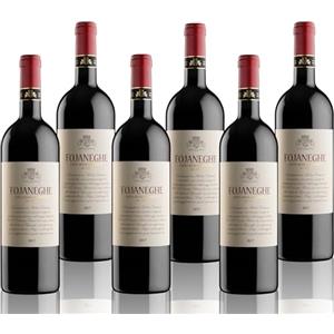 BOSSI FEDRIGOTTI "FOJANEGHE" 2017 | Vigneti delle Dolomiti IGT Rosso| 6x750 ml | 6 bottiglie
