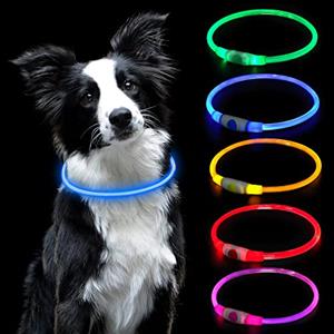 AUAUY Collare Luminoso per Cani, LED Ricaricabile USB, Regolabile, Blu