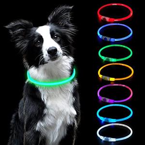 AUAUY Collare Luminoso per Cani, LED Ricaricabile USB, Regolabile, Colorato