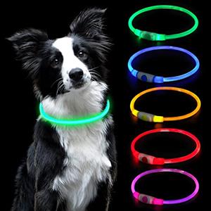 AUAUY Collare Luminoso per Cani, LED Ricaricabile USB, Regolabile, Verde