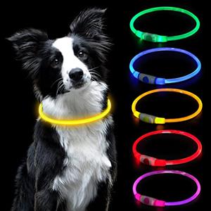 AUAUY Collare Luminoso per Cani, Collare per Animali Domestico LED Ricaricabile USB, Collare di Lunghezza Regolabile Impermeabile per Cani di Taglia Piccola Media Grande e Gatti (Giallo)