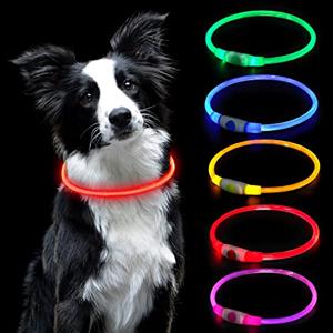 AUAUY Collare Luminoso per Cani, LED Ricaricabile USB, Regolabile, Rosso