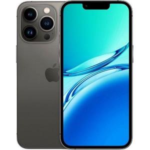 iPhone 13 Pro Max Ricondizionato - grafite - 1tb - eccellente