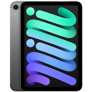 IPAD MINI WF CL 128GB SPACE GRAY