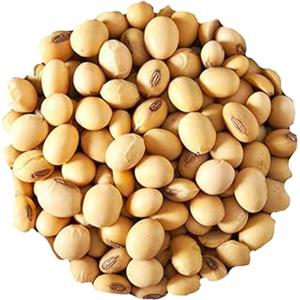 Bongiovanni Bontà Naturali Soia decorticata italiana BIO 1 kg