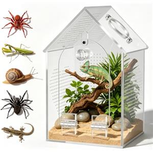 BORDRISE Mini Terrario Acrilico per Ragni, 12x12x20cm Faunabox per Insetti | Nessun montaggio! Rete antifuga 1mm & oblò per cibo. Terrario per lumache con fondo 100% a tenuta stagna.