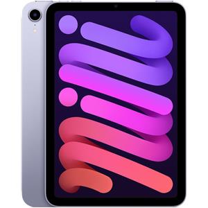 Apple iPad mini 8.3