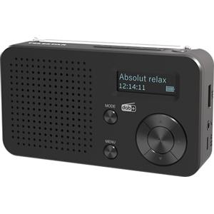 TELESTAR TOP 100 - Radio portatile DAB+/FM con batteria ricaricabile - Nero