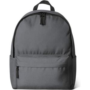 Amazon Basics - Zaino Classico/Casual/Scolastico, Grigio, Confezione da 1