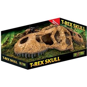 Exo Terra Askoll 281777 Exo Terra Pt2859 Tyrannosaurus Rex Teschio, 25, 4 X 14, 5 X 12, 7 Cm
