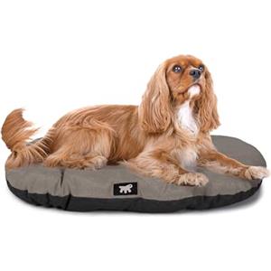 Ferplast Cuccia Cane Relax, Cuscino per cani di medie dimensioni, Cuccia Gatto, Tappetino per cucce e auto -Lavabile - in Cotone con Soffice Imbottitura, 78 x 50 m. Marrone