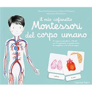 L'Ippocampo Ragazzi Il mio cofanetto Montessori del corpo umano