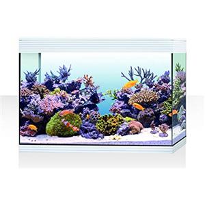 Askoll AA350077 ASKOLL PURE XL HC MARINE WHITE