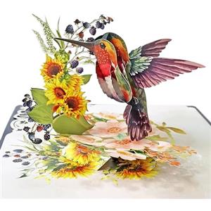 CUTPOPUP Colibr&igrave; con Girasole