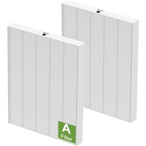 Colorfullife Confezione da 2 filtri True HEPA 115115, misura 21, per purificatori d'aria Winix PlasmaWave 5300-2, C535, P300, 6300-2, 5300, 9000