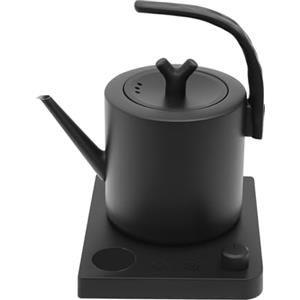 NoneDanGee Bollitore elettrico a collo di cigno in acciaio inox 1 l, bollitore elettrico con regolazione della temperatura e mantenimento del calore, cottura rapida (nero)