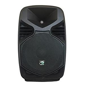 Sinextesis Cassa acustica amplificata con lettore Mp3 da USB /SD Card 110W