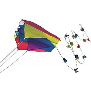 GÜNTHER FLUGSPIELE Paul Guenther 1189 - Mini Parafoil bleu, cerf-volant coloré pour la poche, avec voile résistante à lumière, peut être facilement rangé dans env. 60 x 51 cm
