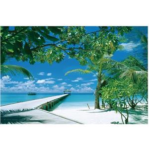 Generic Puzzle da 1000 pezzi per adulti, puzzle con alberi di cocco sul mare, puzzle di paesaggio impegnativo per la decorazione della casa, puzzle per adulti con lettere sul retro, idea regalo di compleanno