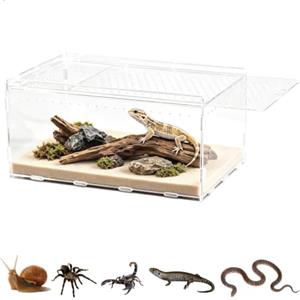 mimzemamz Terrario per Rettili Acrilico, Terrario Trasparente Piccolo con Fori per l'Aria, Teca per Geco, per Ragni, Criceti Contenitore per l'Alimentazione Degli Insetti 20 x 12 x 12 cm