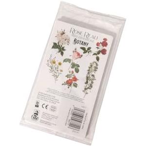 Cranio Creations - Botany, Rose Reali | Mini Espansione - 1-5 Giocatori - 90 Minuti - Gioco per Famiglie - Età 8+ - Edizione in Lingua Italiana