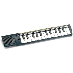 Bontempi 15 2500 Auto Concertina a 25 Tasti, 400x72x35 mm | Passo Medio, Esperienza Musicale Intima e Affascinante, Multicolore, Media