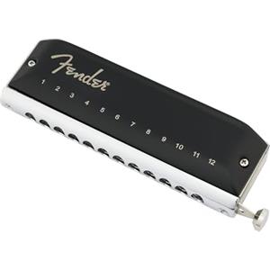 Fender Groove Pro Armonica Cromatica Professionale 12 Fori Do | Include custodia, ance in bronzo fosforoso, estensione di 48 note, da principiante a professionista, per adulti, suono ricco