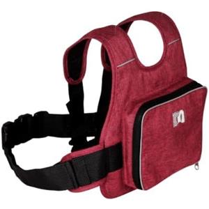AUEJACKY Cintura di sicurezza per moto per bambini, cintura per moto per bambini, cintura di sicurezza per moto per bambini regolabile, con Strisce Riflettenti, Adatta per Bambini tra i 2 e i 12 Anni