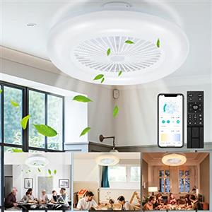 Daromigo 80W Ventilatore da soffitto con luce telecomando e APP, Modalità Estiva e Invernale, Dimmerabile LED Plafoniere mit 6 Velocità Della, 3 Light Color Change und Timer