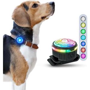 PAJ GPS PAJ Luce LED Ultraluminosa per Cani, Adatto a Tutti i Collari e Pettorine | Cani Piccoli, Medi e Gatti - Regolazione Flessibile - 100% Impermeabile - 7 Colori Diversi - Sicurezza e Visibilità Notturna