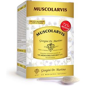 DR.GIORGINI SER-VIS Srl MUSCOLARVIS Polv.500g