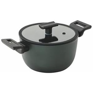 Sambonet Pentola Profonda Doppio Manico 20 Cm Tıtan Pro Verde