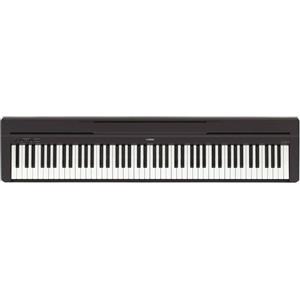 YAMAHA P-45