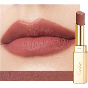 Oulac Rossetto Opaco Donna-Rossetti Matte Lunga Durata Opaco Alta Pigmentazione, Finitura Mat Morbida,Texture Leggera&Confortevole Rossetto Waterproof&No Transfer Matte Lipstick Make-up Vegano RM06