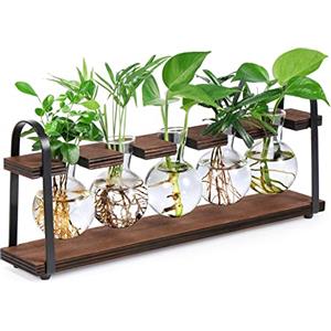 THYGIFTREE Stazioni di propagazione delle piante con supporto in legno, terrario retrò per piante da tavolo, vaso per fiori idroponici da interno, fioriera in vetro da tavolo, regali di inaugurazione
