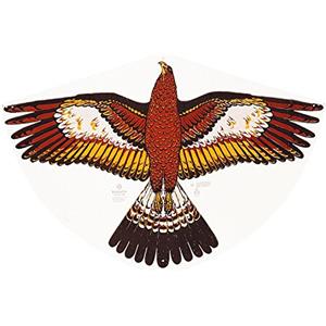 GÜNTHER FLUGSPIELE 1180 - Aquilone per bambini con motivo dell'aquila d'oro, aquilone a linea singola in robusto foil di PE, per bambini a partire da 4 anni, dimensioni circa 92 x 62 cm