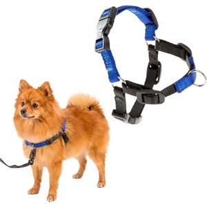 Ferplast Pettorina Cane Taglia Piccola COACH, Pettorina per Cani da Addestramento Previene gli Strattoni durante le Passeggiate, Massimo controllo del cane, Torace 33-41 cm.
