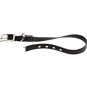 Ferplast Collare per Cani EVOLUTION CF25/45, Ipoallergenico, Lavabile, Regolazione con Fori, Nero