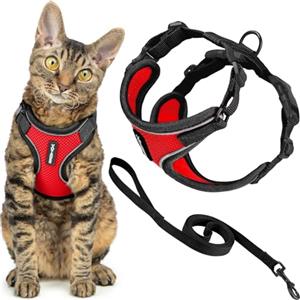 Best Pet Supplies Voyager - Set di pettorina e guinzaglio per gatti a prova di fuga con cuciture riflettenti, manico in neoprene da 1,5 m, supporta gatti piccoli, medi e grandi, gattini da passeggio, by Best Pet