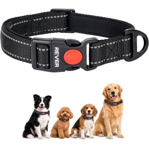 REVER Collare Cane Riflettente, Nylon Resistente, Neoprene Morbido | Fibbia Sicura e Anello a D per Cani Piccoli Medi e Grandi