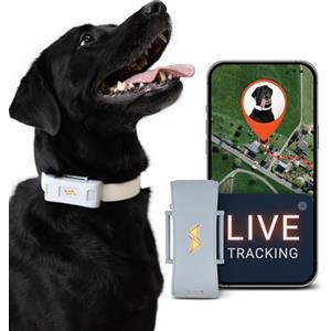 PAJ GPS PAJ Localizzatore GPS 4G Cani - 3Mesi Abbonamento Premium Incluso-Grigio | Adatto tutti i Collari - Tracking RealTime - Fino 10gg in MOD. Risp. Batteria - Suoni Richiamo & Allarme Fuga - Impermeabile