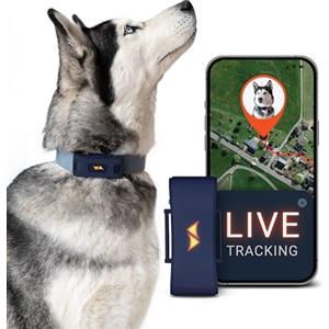 PAJ GPS PAJ Localizzatore GPS 4G per Cani - 3 Mesi Abbonamento Premium Incluso-Blu | Adatto tutti i Collari - Tracking RealTime - Fino 10gg in MOD. Risp. Batteria - Suoni Richiamo & Allarme Fuga - Impermeabile