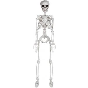 TTOPBAO Scheletro per Halloween, in Plastica, 90 cm, con Articolazioni Mobili, scheletro anatomico Posabile per Interni ed Esterni, halloween decorazioni per Casa, Giardino, Terrazza e Feste (1 Pezzo)