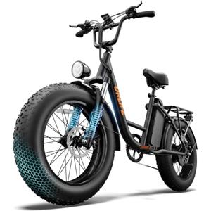 URLIFE Bici Elettrica Per Adulti, 20" Fat Tire ebike da Batteria Rimovibile 250w Motore, 7 Velocità Bicicletta Elettrica Per Pendolari con Display LCD Colorato
