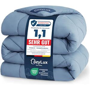 CozyLux Piumone Matrimoniale 220x240 cm Grigio blu per 4 Stagioni | Piumone Letto in Microfibra 300 g/m², Oeko-Tex 100, Trapunta Invernale con quattro occhielli, Lavabile in Lavatrice