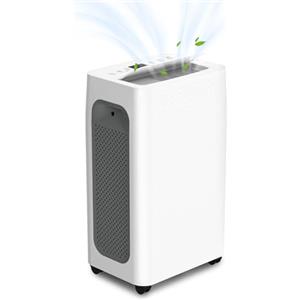 EINFEBEN - Deumidificatore con capacità deumidificante di 26 l in 24 h, per ambienti di circa 220 m³ (26 l)